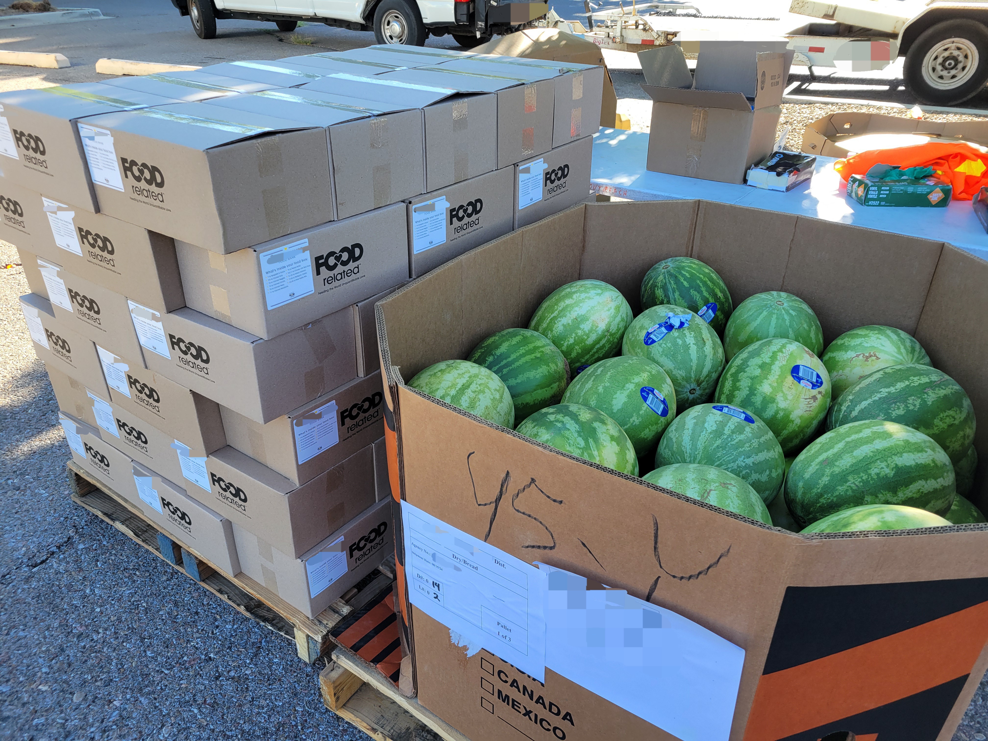 Dry goods boxes and cardboard container full of watermelons on wooden pallets.